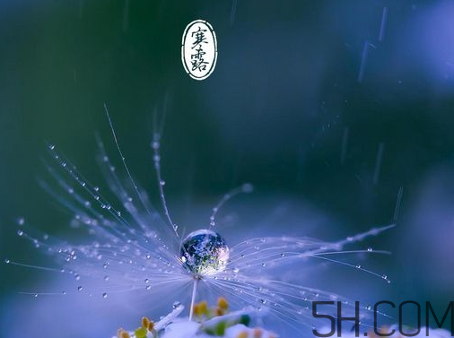 2017年寒露會(huì)下雨嗎？寒露下雨好嗎？