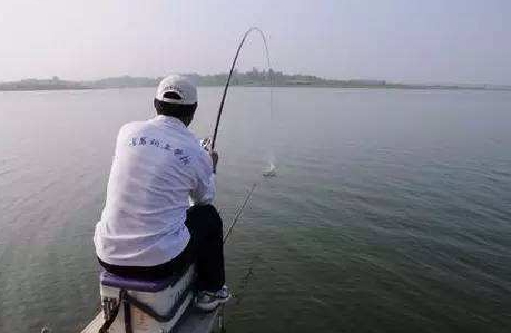 大蒜泡酒能釣魚(yú)嗎？大蒜泡酒釣魚(yú)的方法