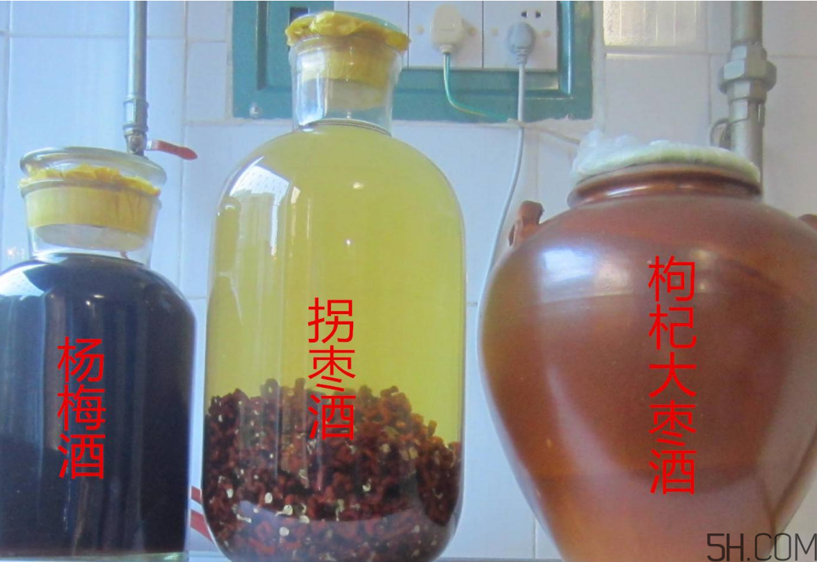 拐棗能泡酒嗎？拐棗能和蜂糖一起泡酒嗎？