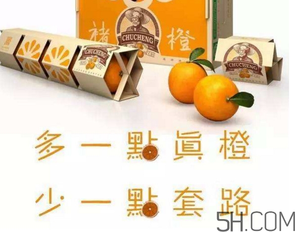 褚橙真的那么好吃嗎？褚橙哪里可以買到