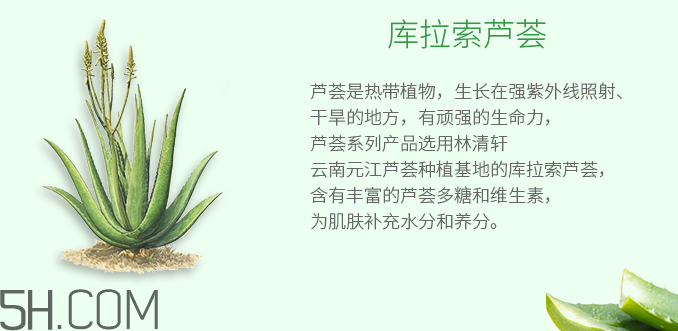 林清軒蘆薈面膜泥怎么樣？林清軒蘆薈面膜泥測評