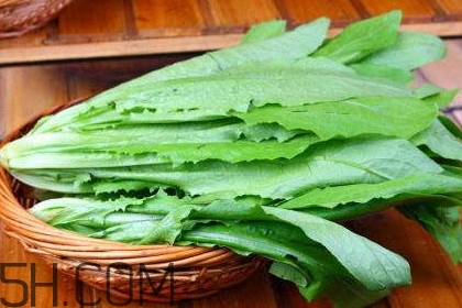 西紅柿和油麥菜能一起吃嗎？油麥菜能包餃子嗎