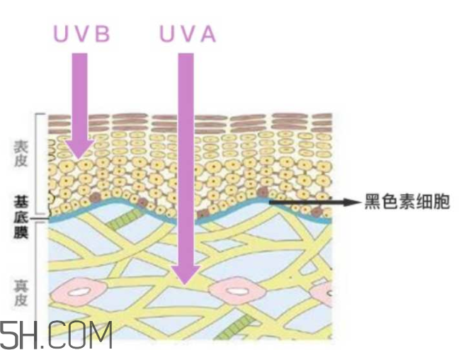 怡麗絲爾銀管防曬乳怎么樣_好用嗎