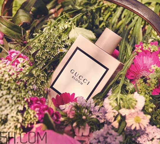 gucci bloom香水多少錢？gucci bloom香水專柜價格