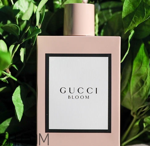 gucci bloom香水多少錢？gucci bloom香水專柜價格