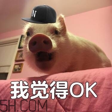 ojbk是什么意思？ojbk表情包