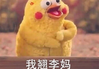 翹李媽什么意思？我翹李媽表情包