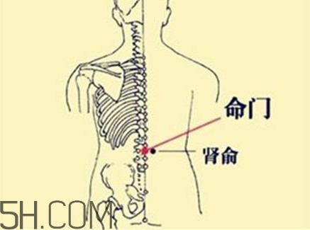 小腿抽筋可以跑步嗎？小腿抽筋可以拔火罐嗎