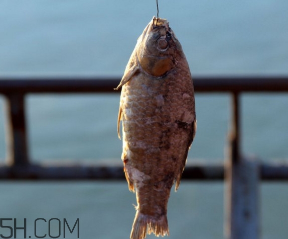 咸魚什么人不能吃？怎樣去除咸魚的咸