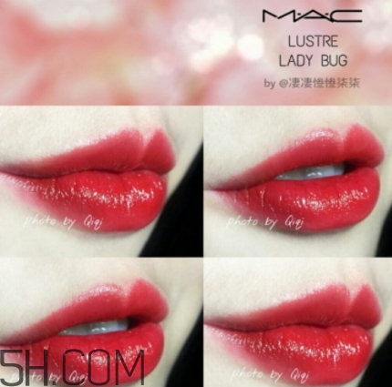 mac lady bug好看嗎？lady bug試色