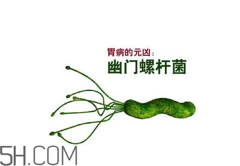 胃幽門螺旋菌陽(yáng)性怎么辦？幽門螺桿菌能徹底治愈嗎