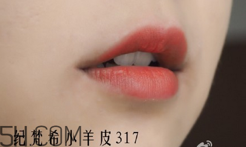 紀(jì)梵希304是西柚色嗎？紀(jì)梵希小羊皮304和317哪個(gè)好看？