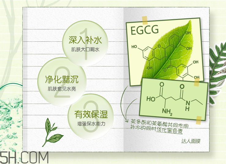 韓后達(dá)人京都玉露補水面膜