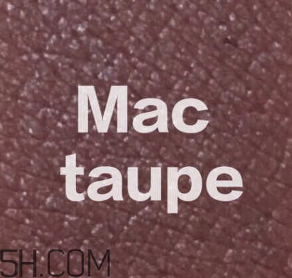 mac mocha和taupe哪個好看？mac mocha和taupe對比試色