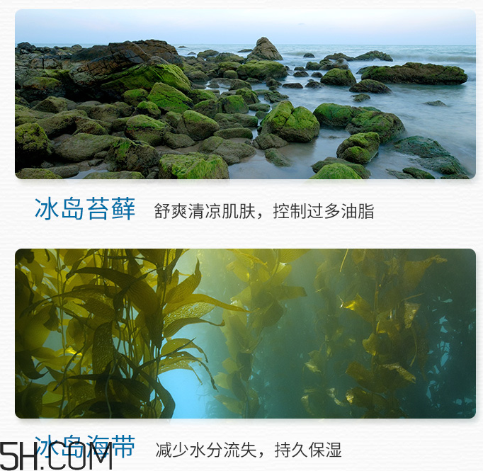 得鮮冰島補水保濕面霜