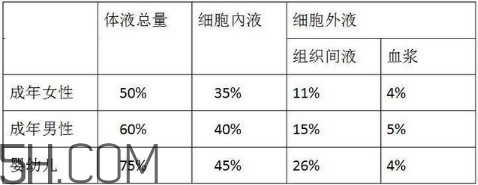 男人是水做的可信嗎？為什么說男人是水做的？