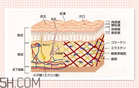 水光針可以祛斑嗎？涂抹式水光針的效果好嗎？