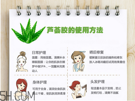 蘆薈膠的功效和作用有哪些？教你蘆薈膠的正確使用方法