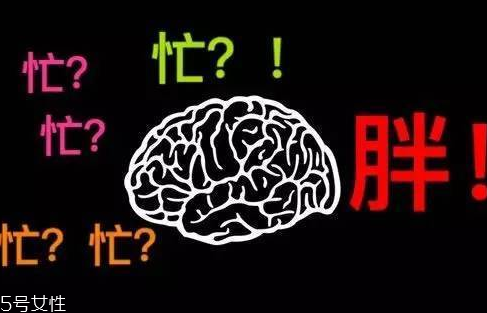 久坐不動上班族如何減肥？越努力工作的人越容易發(fā)胖