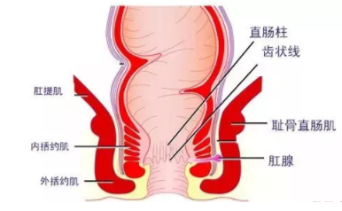 肛瘺非手術(shù)治療才可以嗎？手術(shù)是治療的關(guān)鍵途徑