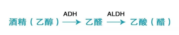 喝酒致癌的真相是什么？乙醛致癌太可怕