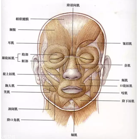 法令紋怎么去除？最有效的方法是醫(yī)美