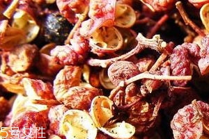 花椒長蟲怎么處理 殺蟲是關(guān)鍵