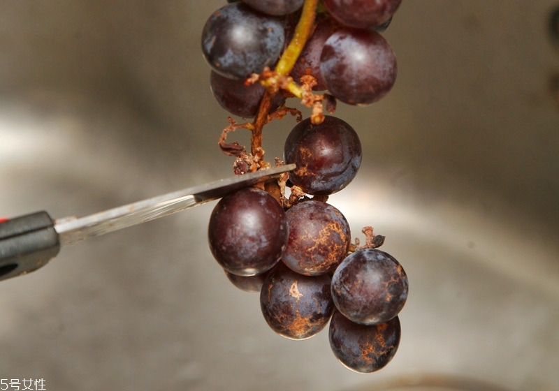 小蘇打洗菜能去農(nóng)藥殘留嗎 洗菜的6個小技巧