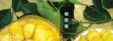 榴蓮蜜哪里能吃？哪里不能吃