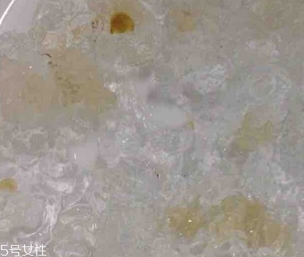 雪燕和桃膠能一起燉嗎？