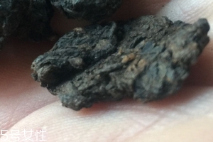 老茶頭怎么泡？泡錯了就不好喝了