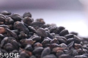 黑苦蕎茶上火嗎？蒸煮法苦蕎茶不上火