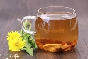 蒲公英茶可以天天喝嗎？不要長期喝