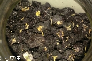 黑枸杞還還是紅枸杞好？各有千秋