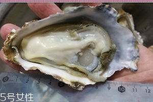 生蠔會有寄生蟲嗎？不生吃就沒關(guān)系