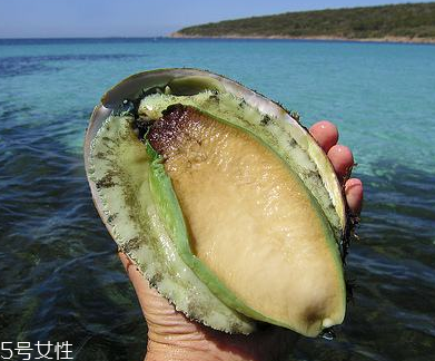 鮑魚(yú)罐頭好吃嗎？味道還可以