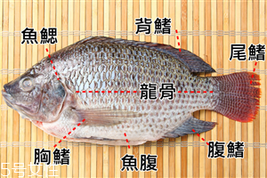 吃魚時魚刺怎么去除