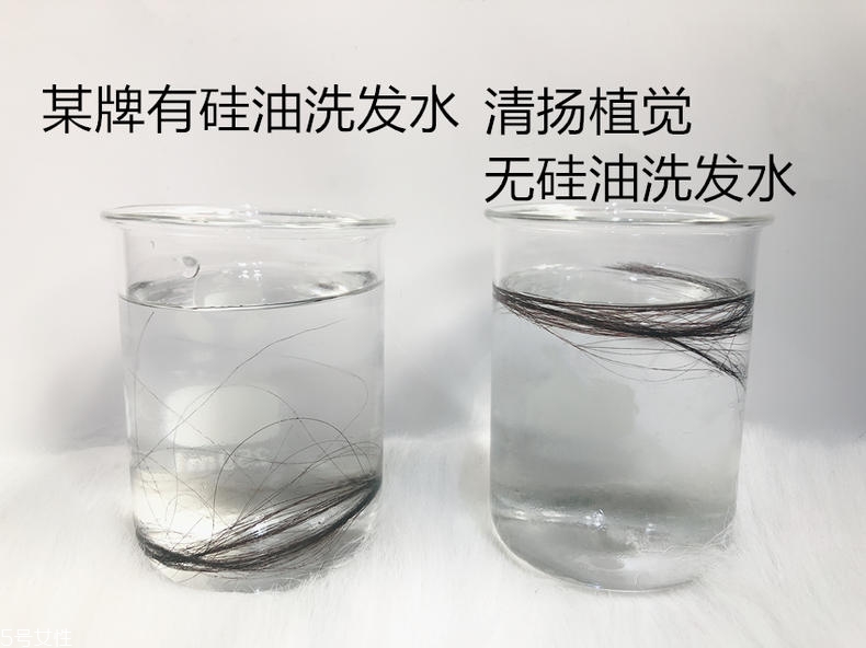 清揚0硅油洗發(fā)水好用嗎？自帶高級感香調(diào)