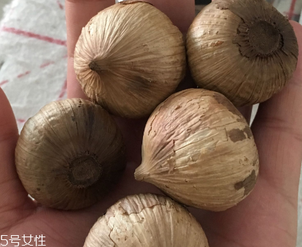 黑蒜怎么吃？黑蒜最好吃的吃法