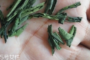 六安瓜片是紅茶還是綠茶？