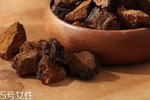 樺樹茸是樹黃嗎？樺樹茸屬于什么