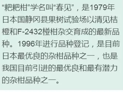 枇杷柑是丑橘嗎？枇杷柑和丑橘的區(qū)別