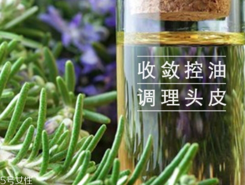 迷迭香精油怎么用？迷迭香精油使用注意事項(xiàng)