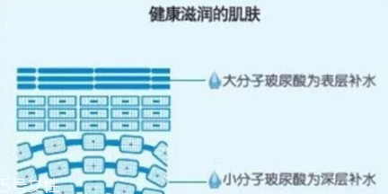 護膚品能進入基底層嗎 護膚品能進入真皮層嗎