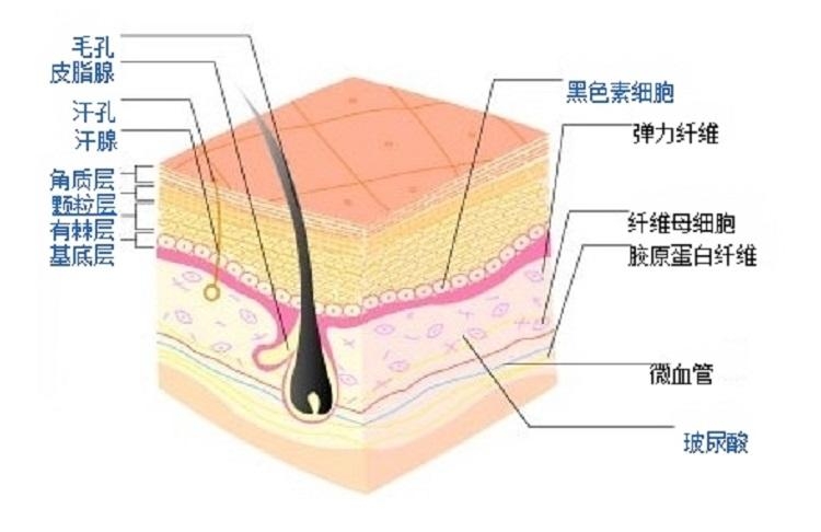 隔離霜怎么檢測(cè)重金屬 隔離霜鉛汞鑒別方法