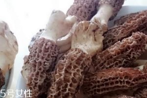 羊肚菌是什么東西？羊肚菌能吃嗎？