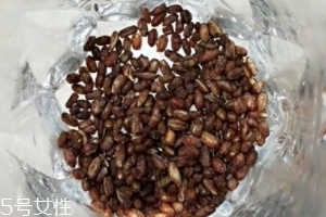 青稞茶怎么沖泡？青稞茶沖泡方法