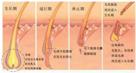 超冰脫毛對(duì)皮膚會(huì)影響排汗嗎 超冰脫毛有副作用嗎