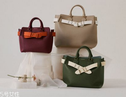 burberry the belt bag多少錢？巴寶莉貝爾特包專柜價(jià)格