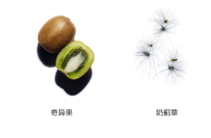 嬌韻詩(shī)雙萃精華多少錢(qián)？嬌韻詩(shī)雙萃精華容量